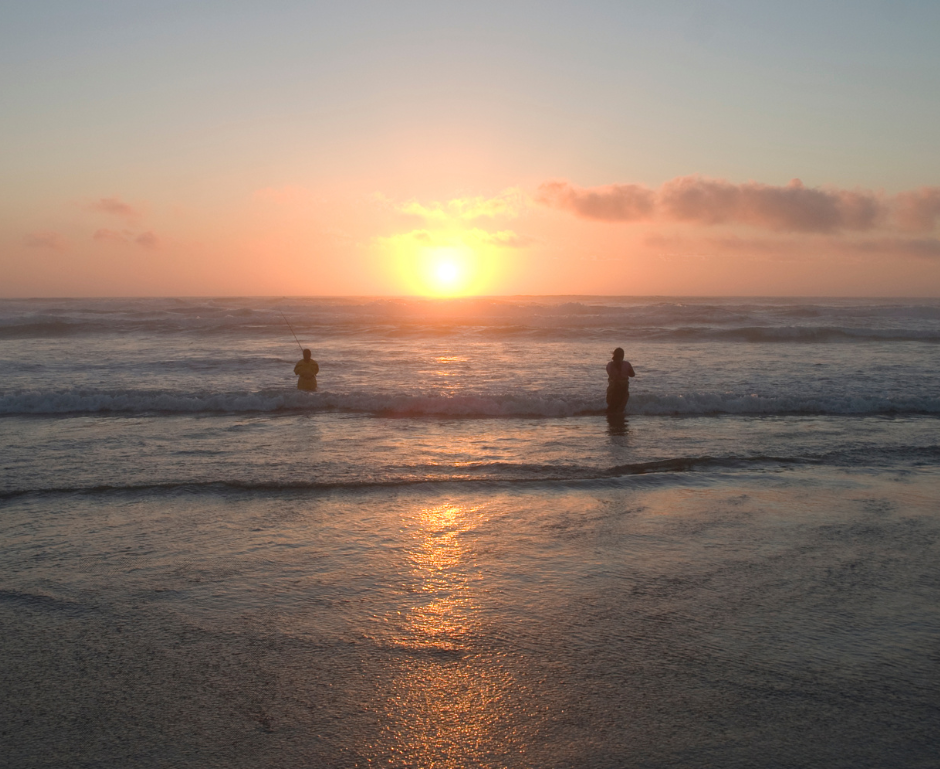The Oregon Department of Agriculture and the Oregon Department of Fish and Wildlife have announced closures along the Oregon coast after 21 people were sickened by Paralytic Shellfish Poisoning