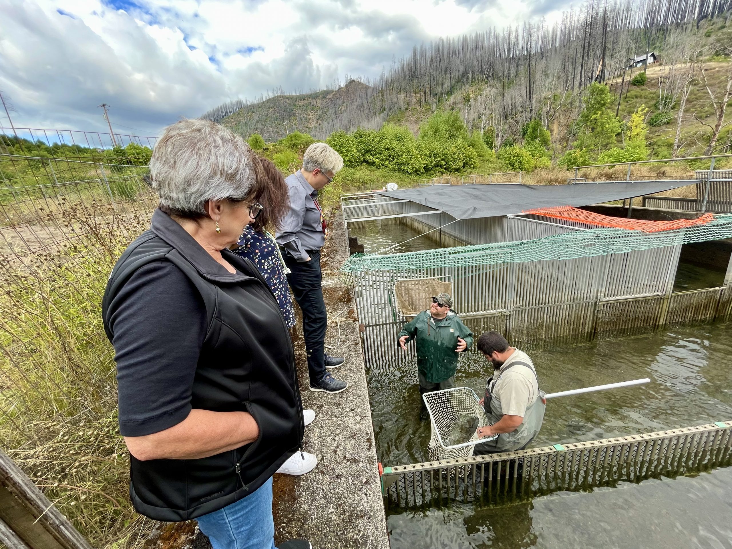 Governor Kotek and Kotek-Wilson, Chairman Keene look into a pool where Fisheries Manager Colby Gonzales and ODFW staff work together for the first spawning at Rock Creek Hatchery since 2020. Sept. 18, 2024. Cow Creek Band of Umpqua Tribe of Indians