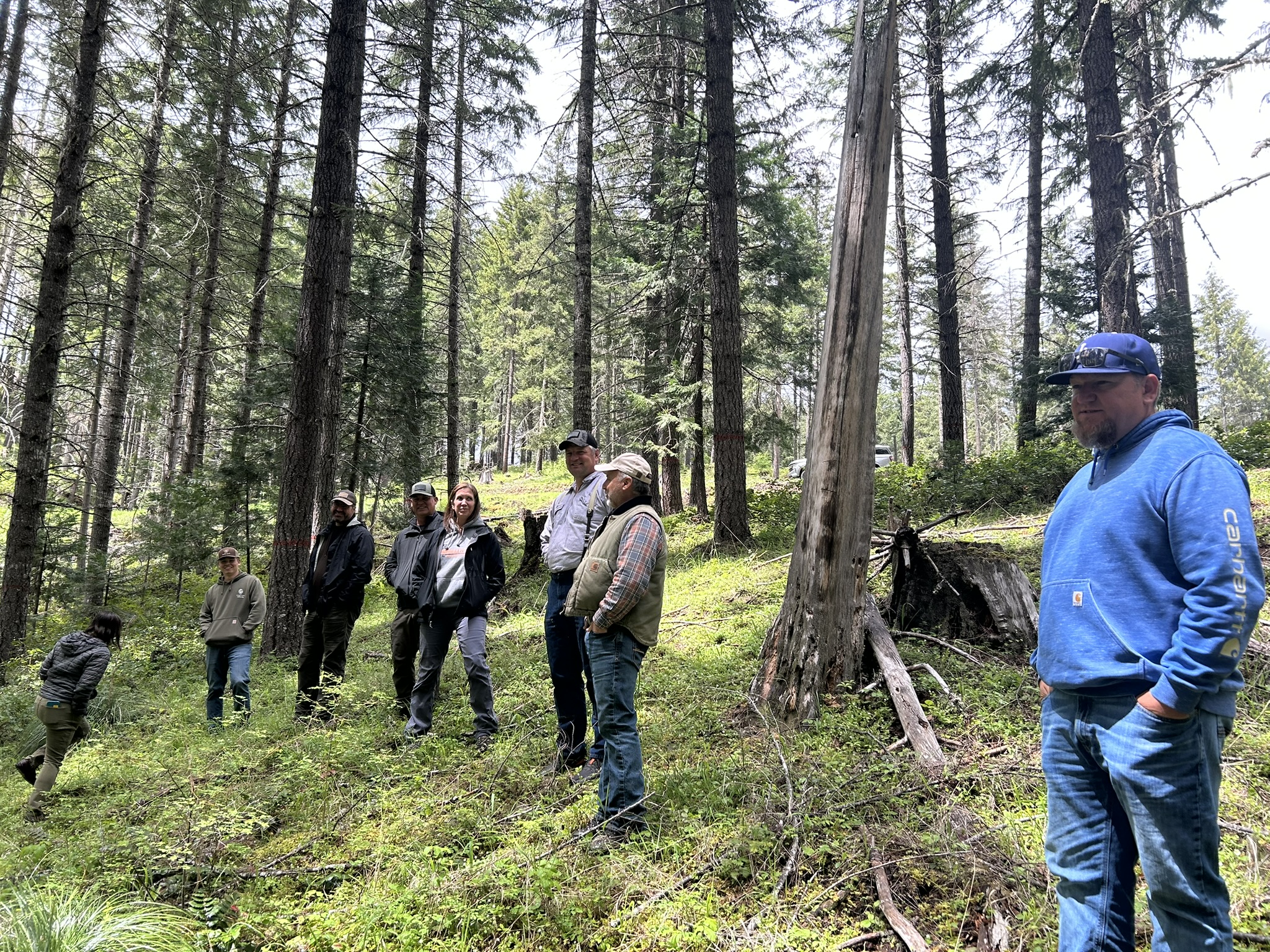 Staff from the Cow Creek Umpqua Tribal Forestry and Natural Resources departments are planning a restoration project on the “East Deadman” forested portion of Tribal lands