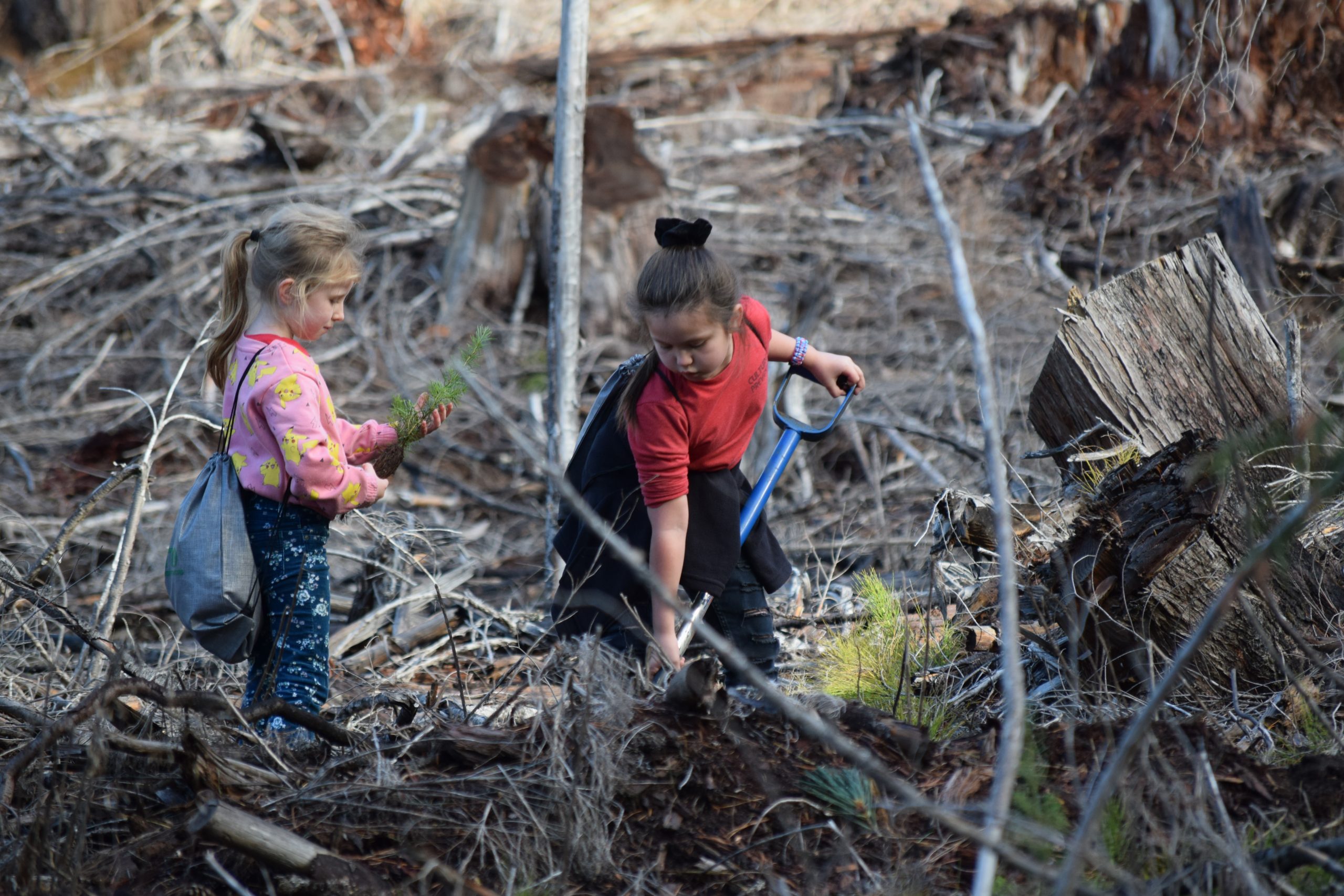 Tribal Youth Learn about Forestry and Fire Safety
